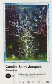 Camille Saint-Jacques. Du 21 juin au 21 septembre 2014 à Clermont-Ferrand. Puy-de-dome. 